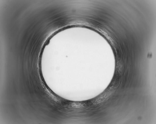 X0000098110799200805021131