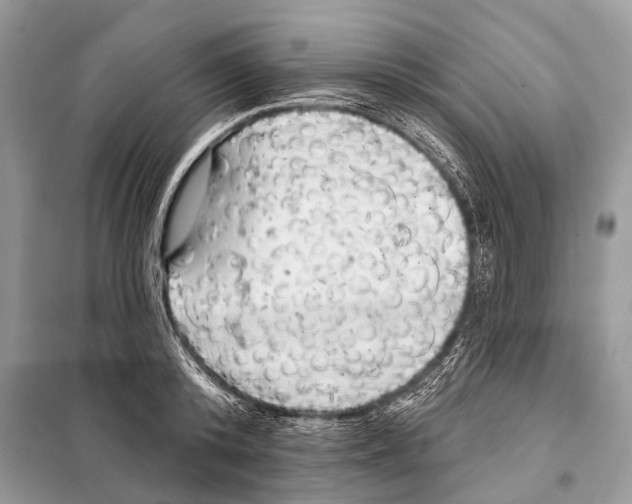 X0000098110800200805021131