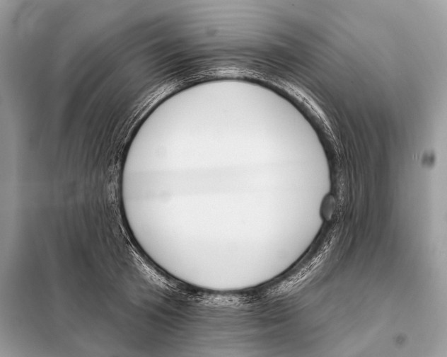 X0000098110801200805021131