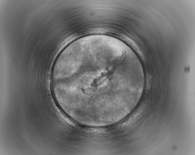 X0000098110802200805021131