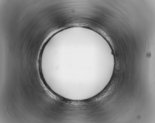 X0000098110803200805021131