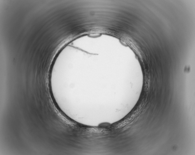 X0000098110805200805021131