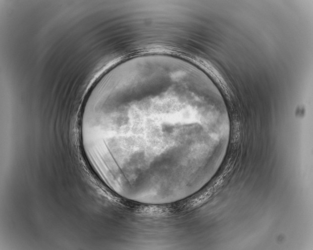 X0000098110806200805021131