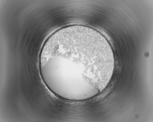 X0000098110807200805021131