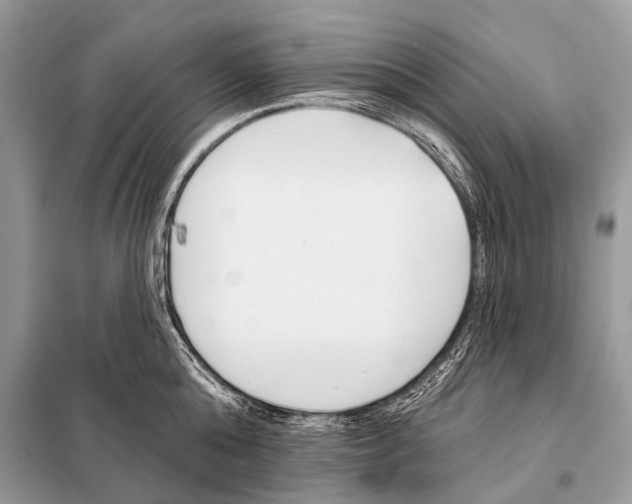 X0000098110808200805021131