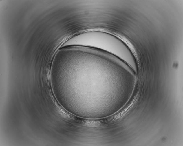 X0000098110809200805021131