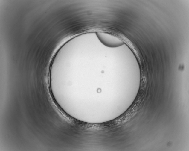 X0000098110811200805021131