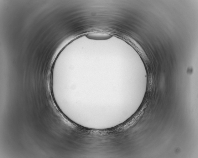 X0000098110812200805021131