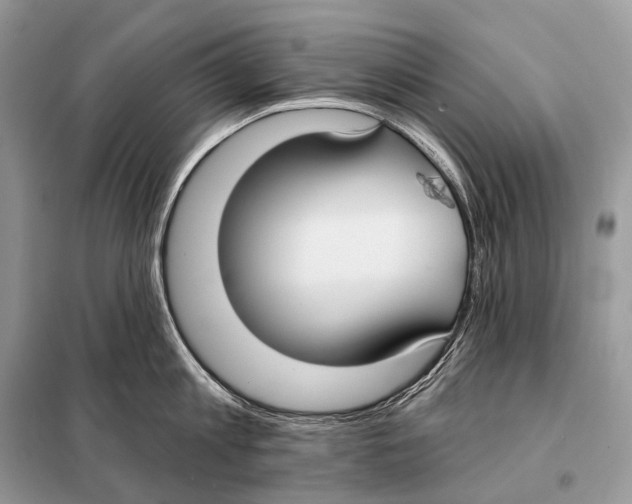 X0000098110813200805021131