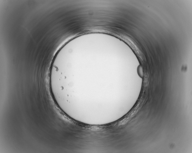 X0000098110814200805021131