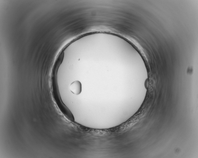 X0000098110815200805021131