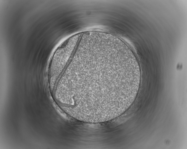 X0000098110816200805021131