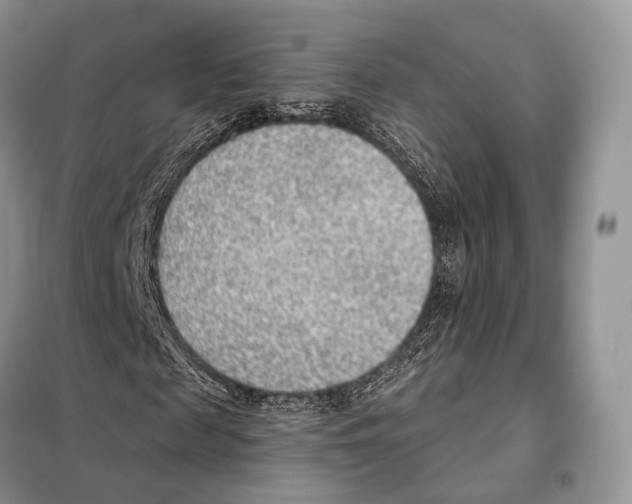 X0000098110817200805021130