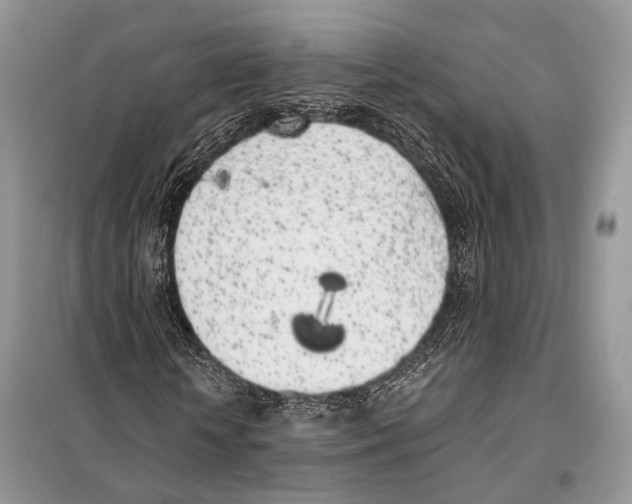 X0000098110818200805021130