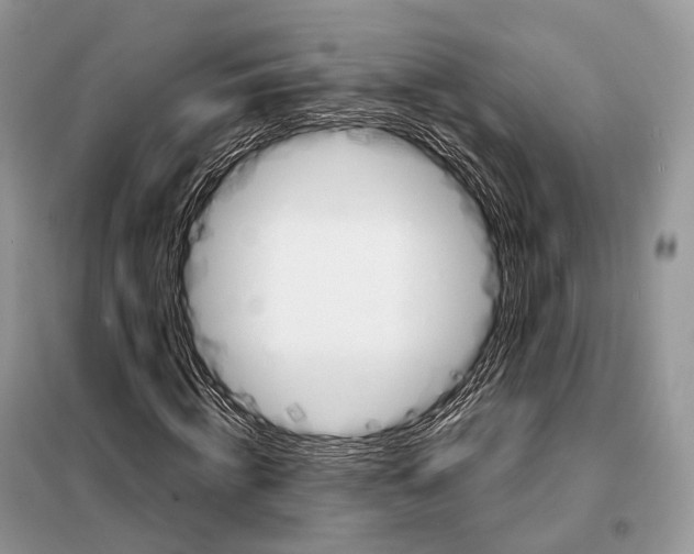 X0000098110820200805021130