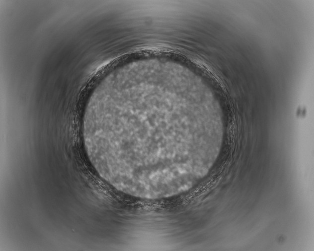 X0000098110822200805021131