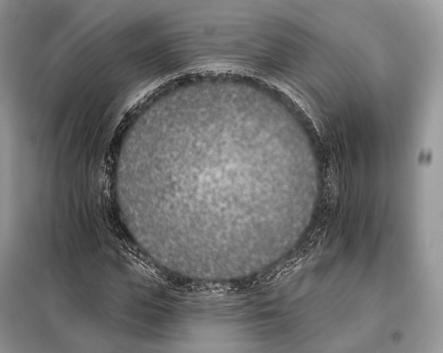 X0000098110823200805021131