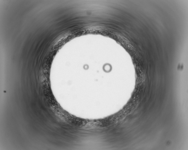 X0000098110824200805021131