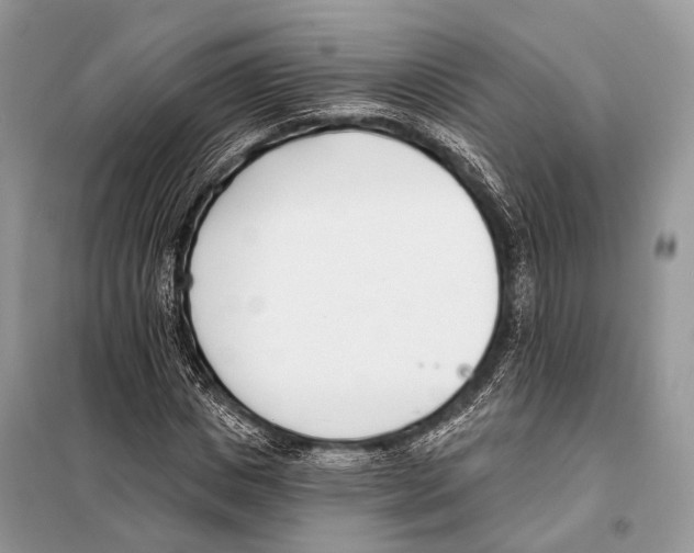 X0000098110825200805021131