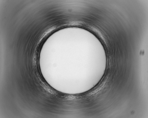 X0000098110827200805021131