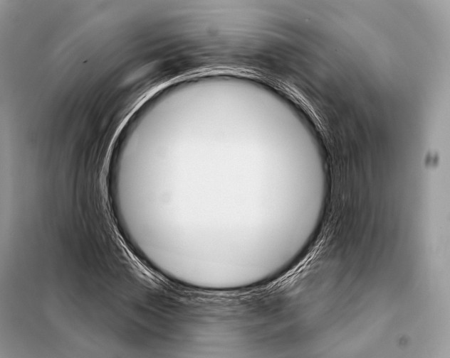 X0000098110828200805021131