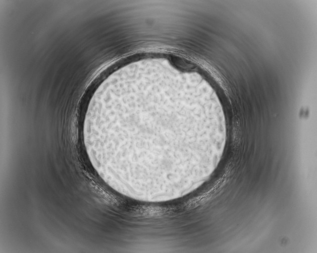 X0000098110829200805021131