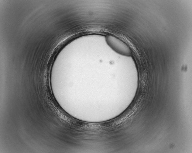 X0000098110831200805021131