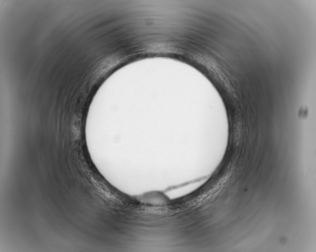 X0000098110833200805021131