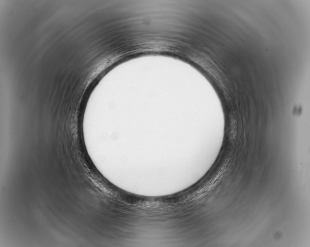 X0000098110834200805021131