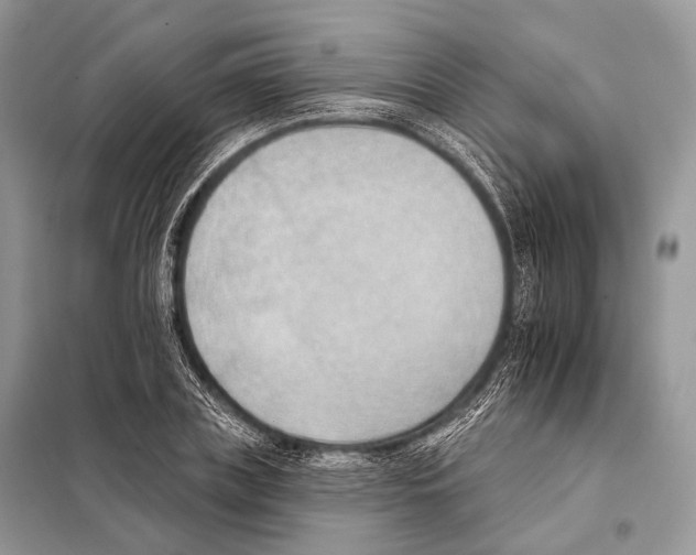 X0000098110835200805021131