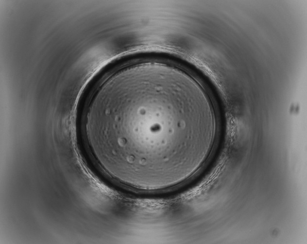 X0000098110836200805021131