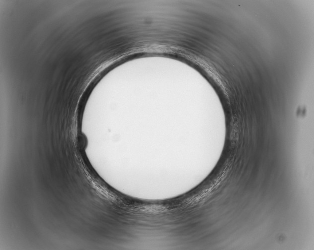 X0000098110837200805021131