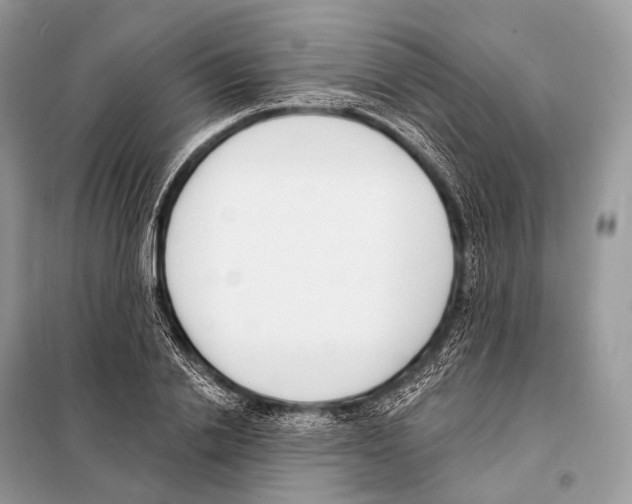 X0000098110838200805021131