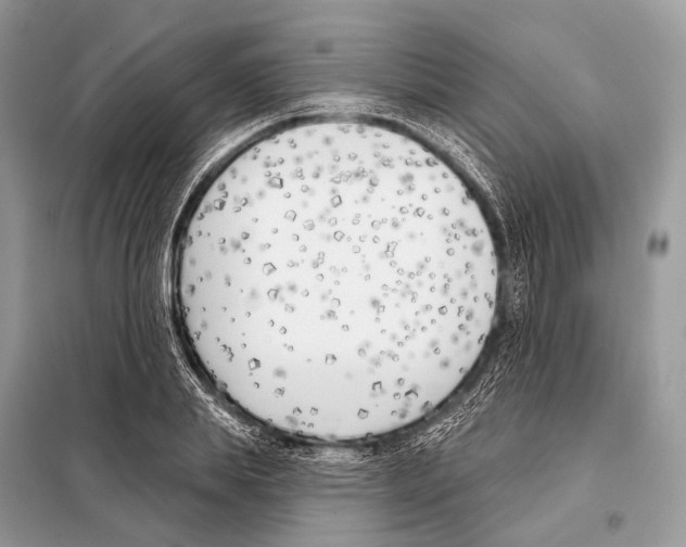 X0000098110839200805021131