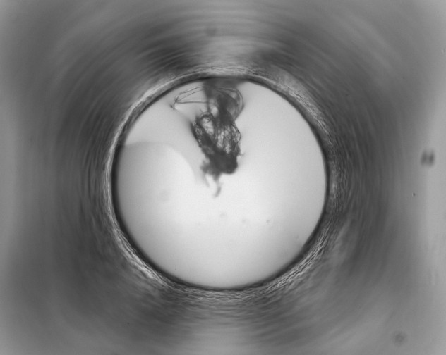 X0000098110840200805021131