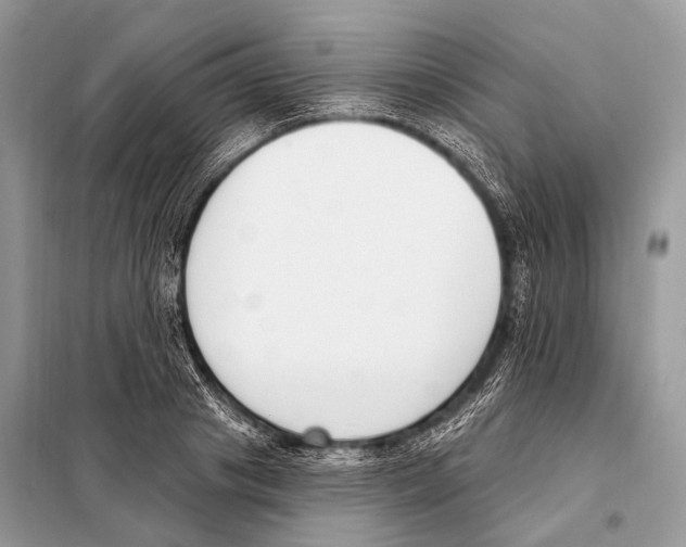 X0000098110841200805021131