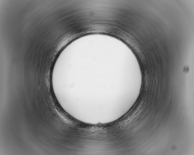 X0000098110842200805021131