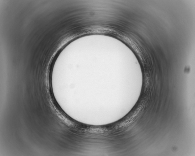 X0000098110843200805021131