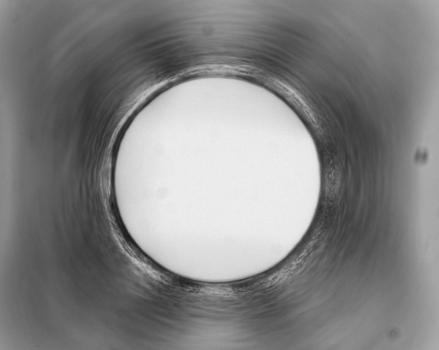 X0000098110844200805021131