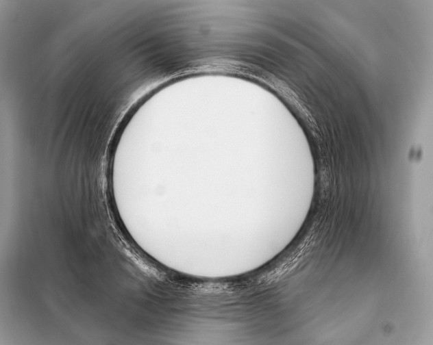 X0000098110846200805021131