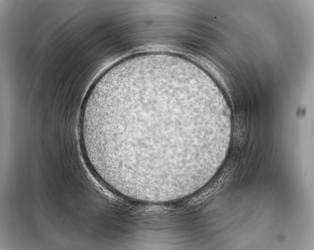 X0000098110847200805021131