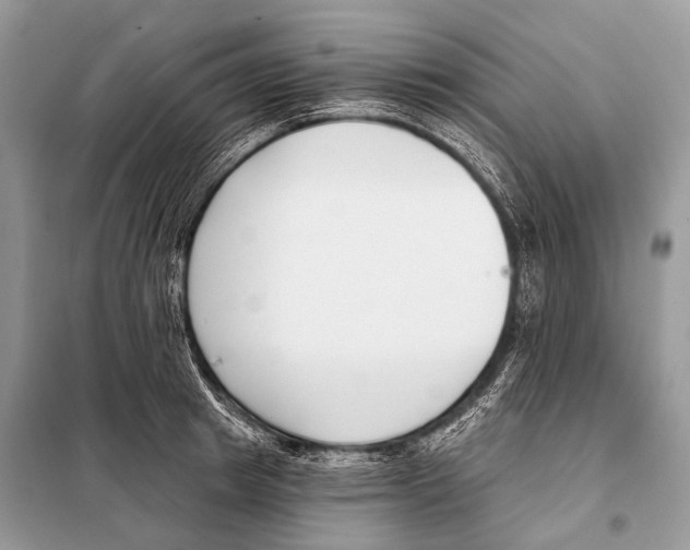 X0000098110849200805021131