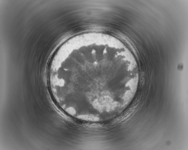 X0000098110851200805021131