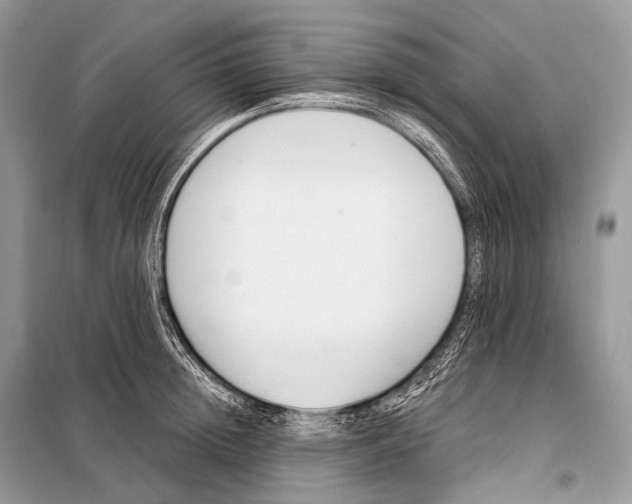 X0000098110852200805021131