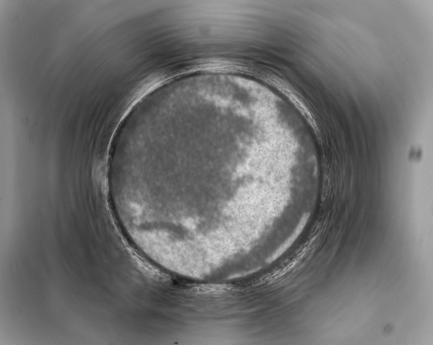 X0000098110853200805021131