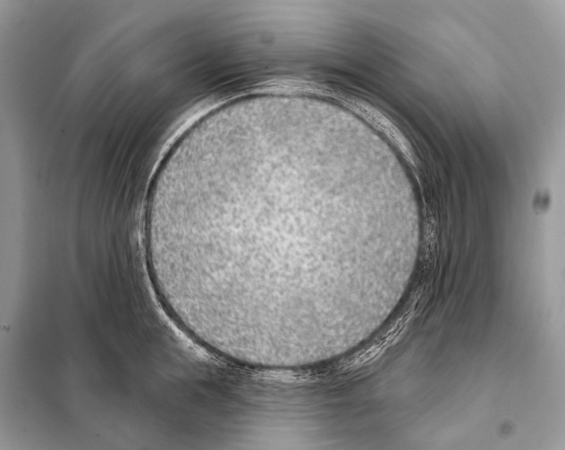 X0000098110855200805021131