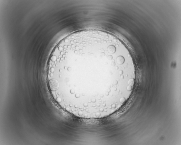 X0000098110856200805021131