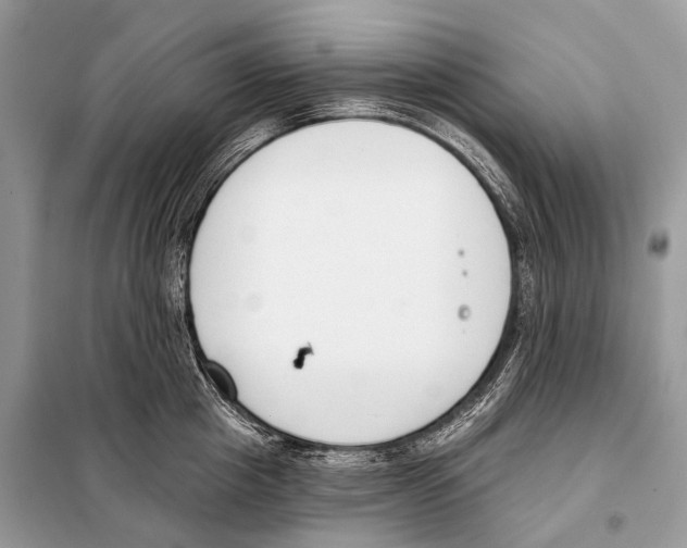 X0000098110857200805021131