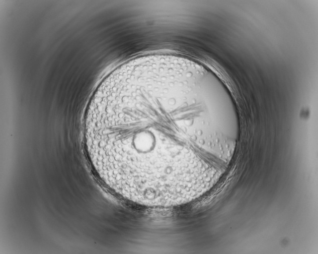 X0000098110858200805021131