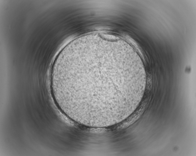 X0000098110859200805021131